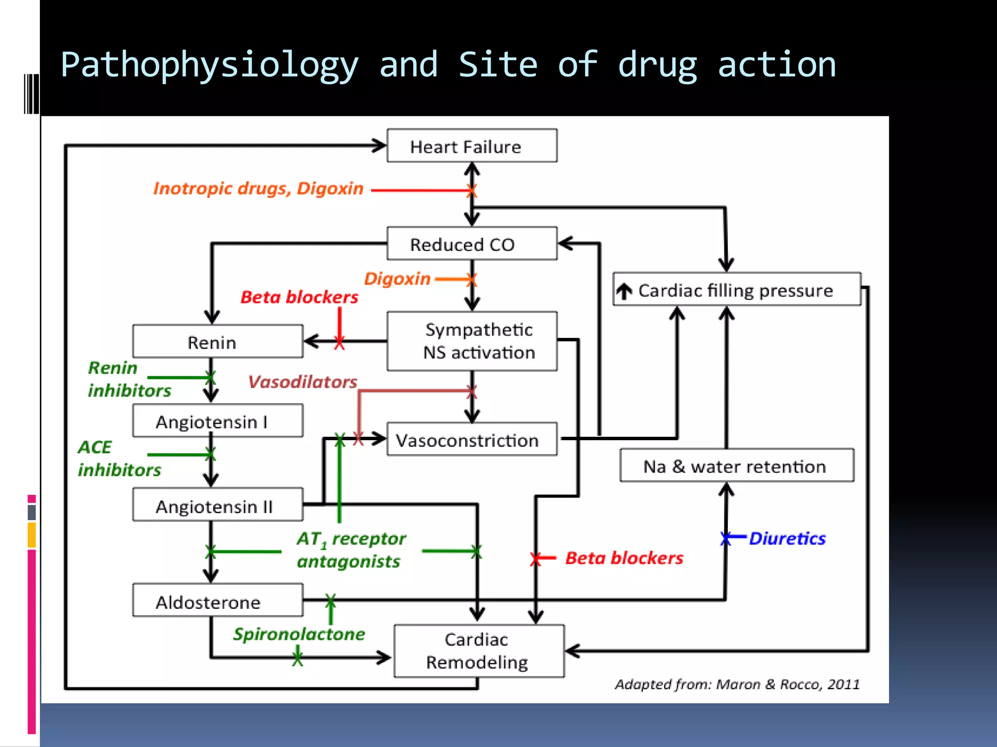 Drugs in Heart Failure samia | PPT