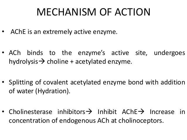 Drugs Modulating Cholinesterase Enzyme