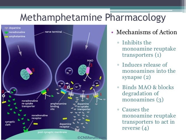 amphetamine psychosis amphetamine psychosis