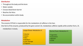 Distribution
• Throughout the body and the brain
• Water soluble
• Crosses blood brain barrier
• Reaches the fetus
• No accumulation within body
Metabolism
The enzyme CYP1A2 is responsible for the metabolism of caffeine in the liver.
One form of the enzyme, produced by the gene variant 1A, metabolizes caffeine rapidly while another form, 1F,
metabolizes it slowly.
Longer/Slower Metabolism if:
 Alcohol
 Asians
 Men
 Newborn
 Liver Damage
 Pregnant
Shorter/Faster Metabolism if:
 Cigarettes
 Caucasians
 Women
 Child
 
