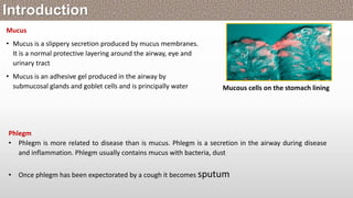 Mucus
• Mucus is a slippery secretion produced by mucus membranes.
It is a normal protective layering around the airway, eye and
urinary tract
• Mucus is an adhesive gel produced in the airway by
submucosal glands and goblet cells and is principally water Mucous cells on the stomach lining
Introduction
Phlegm
• Phlegm is more related to disease than is mucus. Phlegm is a secretion in the airway during disease
and inflammation. Phlegm usually contains mucus with bacteria, dust
• Once phlegm has been expectorated by a cough it becomes sputum
 