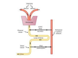 Drugs pharmacology in kidney disease | PPTX