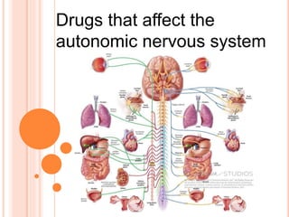 Drugs that affect the
autonomic nervous system
 