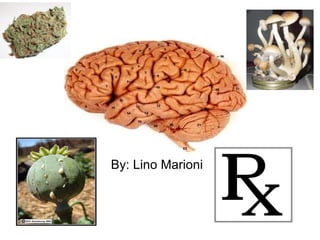 By: Lino Marioni   DRUGS AND THE BRAIN  