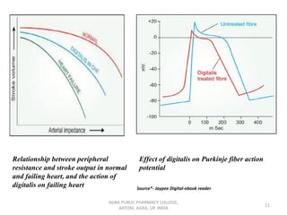 AGRA PUBLIC PHARMACY COLLEGE,
ARTONI, AGRA, UP, INDIA
11
Relationship between peripheral
resistance and stroke output in normal
and failing heart, and the action of
digitalis on failing heart
Effect of digitalis on Purkinje fiber action
potential
Source*- Jaypee Digital-ebook reader
 