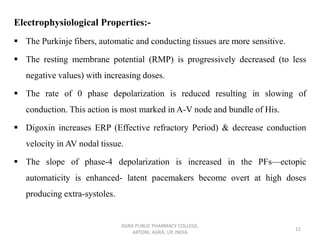 Electrophysiological Properties:-
▪ The Purkinje fibers, automatic and conducting tissues are more sensitive.
▪ The resting membrane potential (RMP) is progressively decreased (to less
negative values) with increasing doses.
▪ The rate of 0 phase depolarization is reduced resulting in slowing of
conduction. This action is most marked in A-V node and bundle of His.
▪ Digoxin increases ERP (Effective refractory Period) & decrease conduction
velocity in AV nodal tissue.
▪ The slope of phase-4 depolarization is increased in the PFs—ectopic
automaticity is enhanced- latent pacemakers become overt at high doses
producing extra-systoles.
AGRA PUBLIC PHARMACY COLLEGE,
ARTONI, AGRA, UP, INDIA
12
 