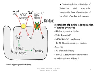 AGRA PUBLIC PHARMACY COLLEGE,
ARTONI, AGRA, UP, INDIA
8
▪ Cytosolic calcium to initiation of
interaction with contractile
protein, the force of contraction of
myofibril of cardiac cell increase.
Mechanism of positive inotropic action
of cardiac glycosides-
oSR-Sarcoplasmic reticulum;
oTnC- Troponin C;
oNCX- Na+-Ca2+ exchanger;
o RyR2- Ryanodine receptor calcium
channel2;
oPL- Phospholamban;
oSERCA2- Sarcoplasmic-endoplasmic
reticulum calcium ATPase 2.
Source*- Jaypee Digital-ebook reader
 