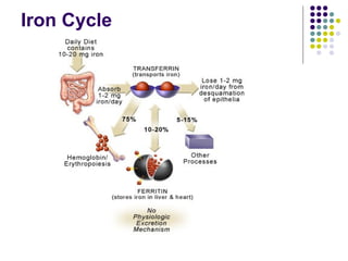 Excessive Rbc Breakdown drugs used in Anemia. Diminished production and or replacement of red ...