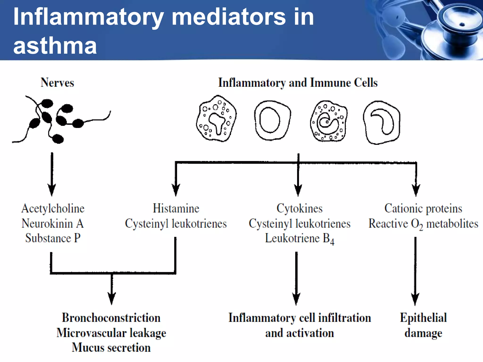 Drugs used in asthma | PPTX