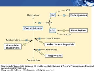 Drugs used in asthma | PPTX