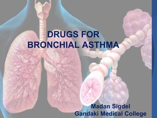 DRUGS FOR
BRONCHIAL ASTHMA
Madan Sigdel
Gandaki Medical College
 
