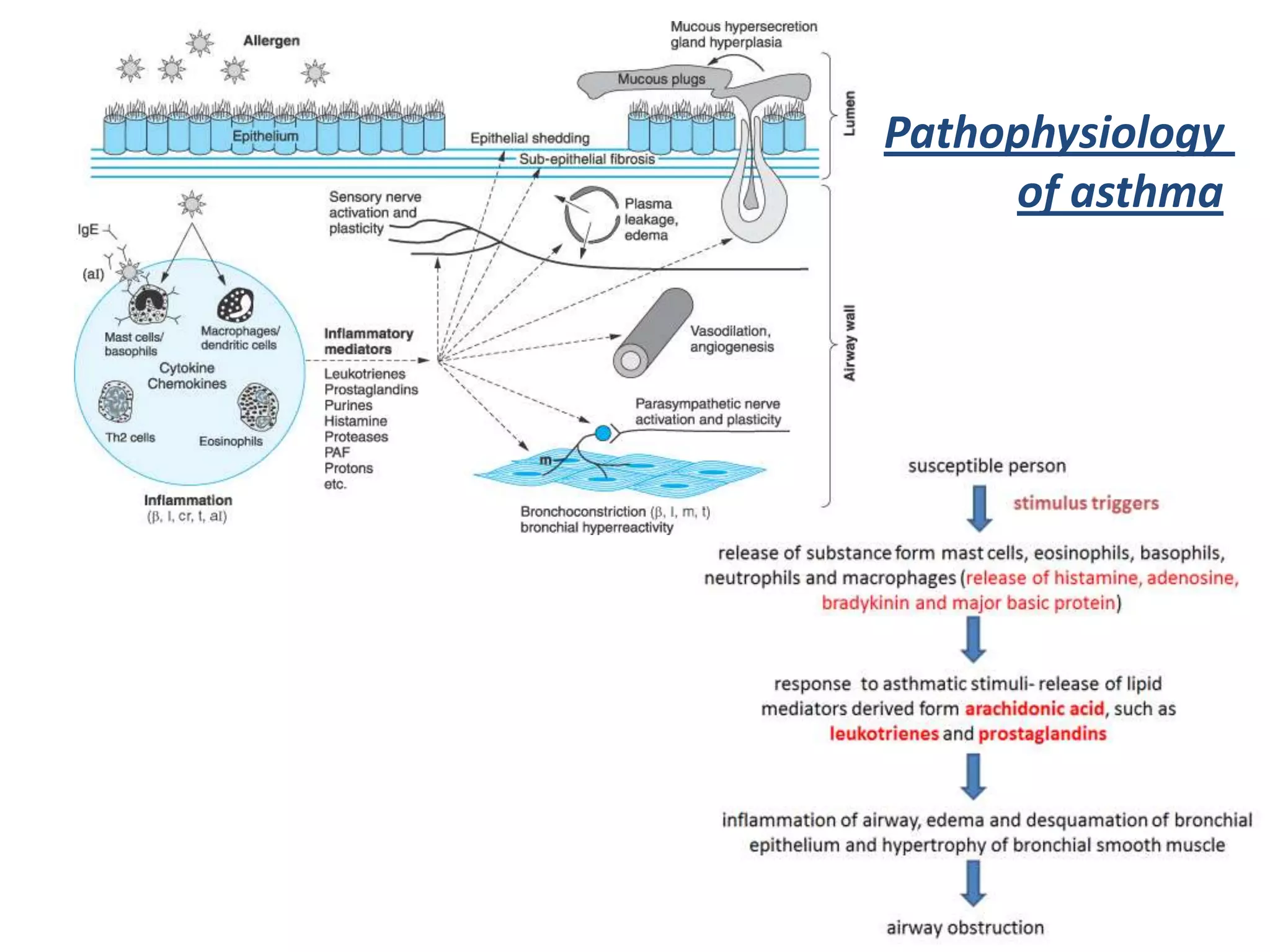 Drugs used in bronchial asthma | PPTX