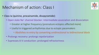 Mechanism of action: Class I
• Class Ia (quinine, procainamide, disopyramide):
• Open state Na+ channel blocker: Intermediate association and dissociation
• Greater at higher frequency (premature ectopics affected more)
• Useful in triggered arrhythmias due to ectopic pacemakers
• Abolishes re-entry by converting unidirectional to bidirectional block
• Prolongs recovery: prolongs repolarization
• Supresses A-V conduction: prolonged refractoriness
 