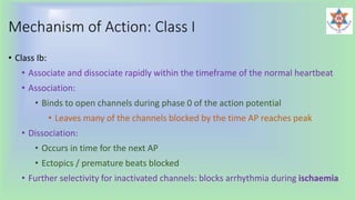 Mechanism of Action: Class I
• Class Ib:
• Associate and dissociate rapidly within the timeframe of the normal heartbeat
• Association:
• Binds to open channels during phase 0 of the action potential
• Leaves many of the channels blocked by the time AP reaches peak
• Dissociation:
• Occurs in time for the next AP
• Ectopics / premature beats blocked
• Further selectivity for inactivated channels: blocks arrhythmia during ischaemia
 