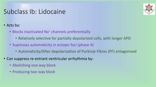 Subclass Ib: Lidocaine
• Acts by:
• Blocks inactivated Na+ channels preferentially
• Relatively selective for partially depolarized cells, with longer APD
• Supresses automaticity in ectopic foci (phase 4)
• Automaticity/After depolarization of Purkinje Fibres (PF) antagonised
• Can suppress re-entrant ventricular arrhythmia by:
• Abolishing one way block
• Producing two way block
 