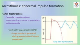 Arrhythmias: abnormal impulse formation
• After-depolarizations
• Secondary depolarizations
accompanying a normal or premature
action potential
• Early after-depolarization (EAD)
• Large impulse is generated
during repolarization that gets
propagated
 