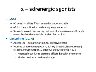 α – adrenergic agonists
• MOA
– α1 constrict ciliary BVs - reduced aqueous secretion
– α2 in ciliary epithelium reduce aqueous secretion
– Secondary role in enhancing drainage of aqueous mainly through
uveoscleral outflow and also trabecular outflow
• Dipivefrine (0.1 %)
 Adrenaline – ocular smarting, reactive hyperemia
 Prodrug of adrenaline→ Adr. ↓ IOT by ↑ uveoscleral outflow,↑
trabecular outflow (β2), ↓ aqueous production (α1 + α2 )
 Not used now due to systemic effects & ocular intolerance
 Maybe used as an add-on therapy
 