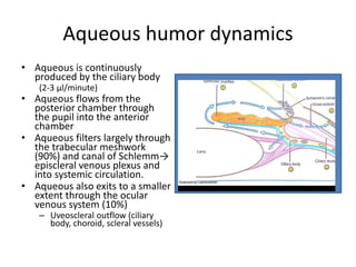 Aqueous humor dynamics
• Aqueous is continuously
produced by the ciliary body
(2-3 µl/minute)
• Aqueous flows from the
posterior chamber through
the pupil into the anterior
chamber
• Aqueous filters largely through
the trabecular meshwork
(90%) and canal of Schlemm→
episcleral venous plexus and
into systemic circulation.
• Aqueous also exits to a smaller
extent through the ocular
venous system (10%)
– Uveoscleral outflow (ciliary
body, choroid, scleral vessels)
 