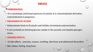 Drugs Used In Helmintics Drugs Used In Helmintics PPTX drugs-used-in-helmintics-drugs-used-in-helmintics-pptx