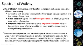 Drugs Used in infectious Disease_Antibiotics | PDF