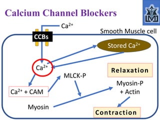 Drugs used in ischaemic heart disease 2 | PPTX