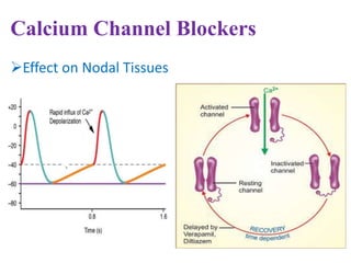Drugs used in ischaemic heart disease | PPTX