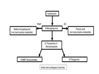 Drugs used in kidney transplantation 2.pptx