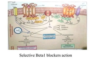 Selective Beta1 blockers action
 