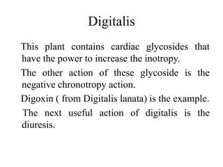 Digitalis
This plant contains cardiac glycosides that
have the power to increase the inotropy.
The other action of these glycoside is the
negative chronotropy action.
Digoxin ( from Digitalis lanata) is the example.
The next useful action of digitalis is the
diuresis.
 