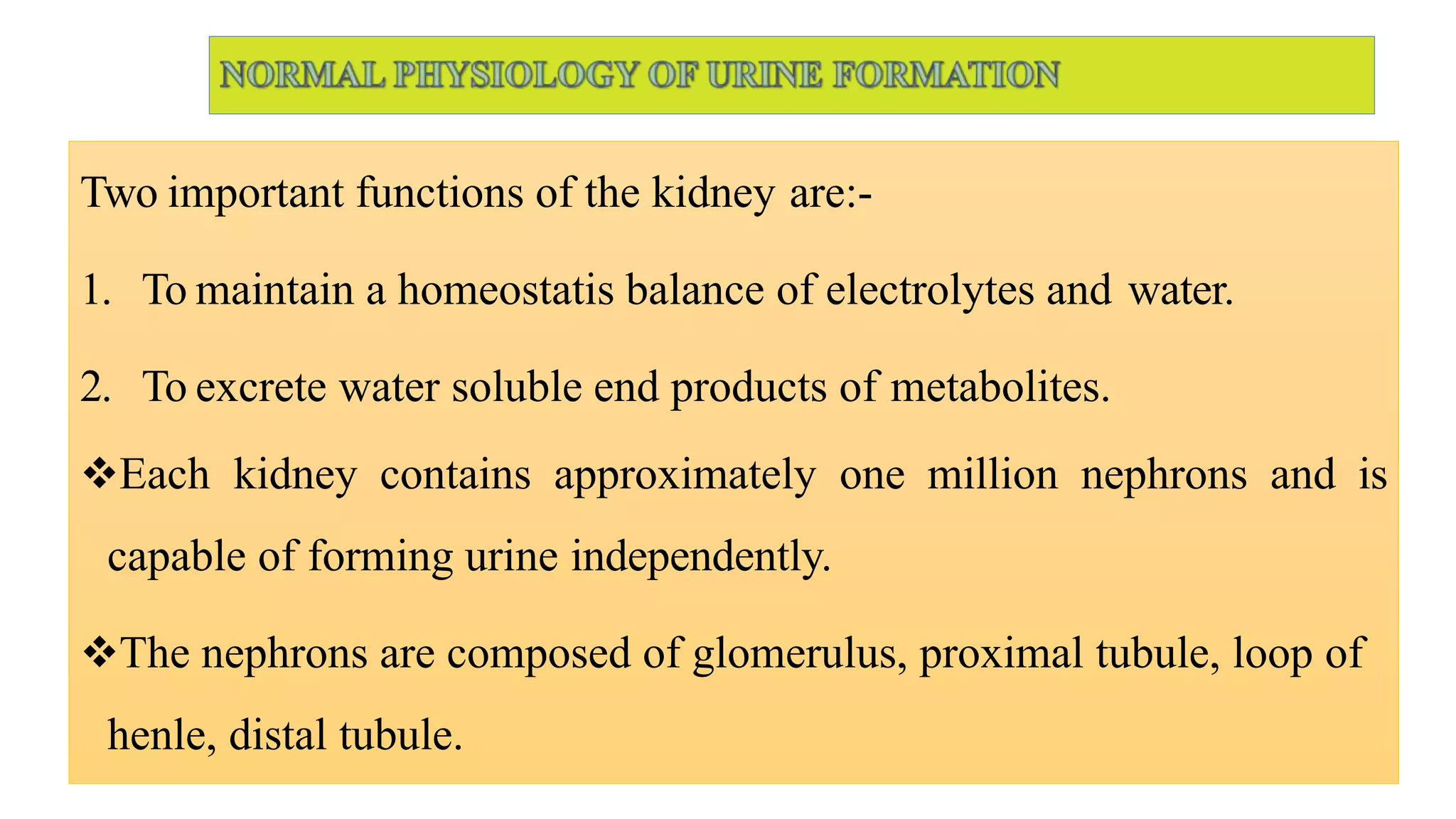 Two important functions of the kidney are:-
1. To maintain a homeostatis balance of electrolytes and water.
2. To excrete water soluble end products of metabolites.
Each kidney contains approximately one million nephrons and is
capable of forming urine independently.
The nephrons are composed of glomerulus, proximal tubule, loop of
henle, distal tubule.
 