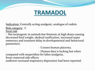 Tramadol in pregnancy
