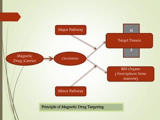 Magnetic
Drug /Carrier
Circulation
Major Pathway
Minor Pathway
RES Organs
( liver/spleen/ bone
marrow)
N
S
Target Tissues
Principle of Magnetic Drug Targering
 