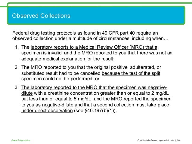 Negative Dilute Drug Test >> Drug Test Cheaters Negative Dilute Drug Test >> Drug Test Cheaters