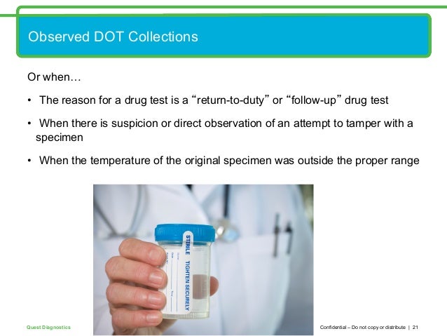 Negative Dilute Drug Test >> Drug Test Cheaters Negative Dilute Drug Test >> Drug Test Cheaters