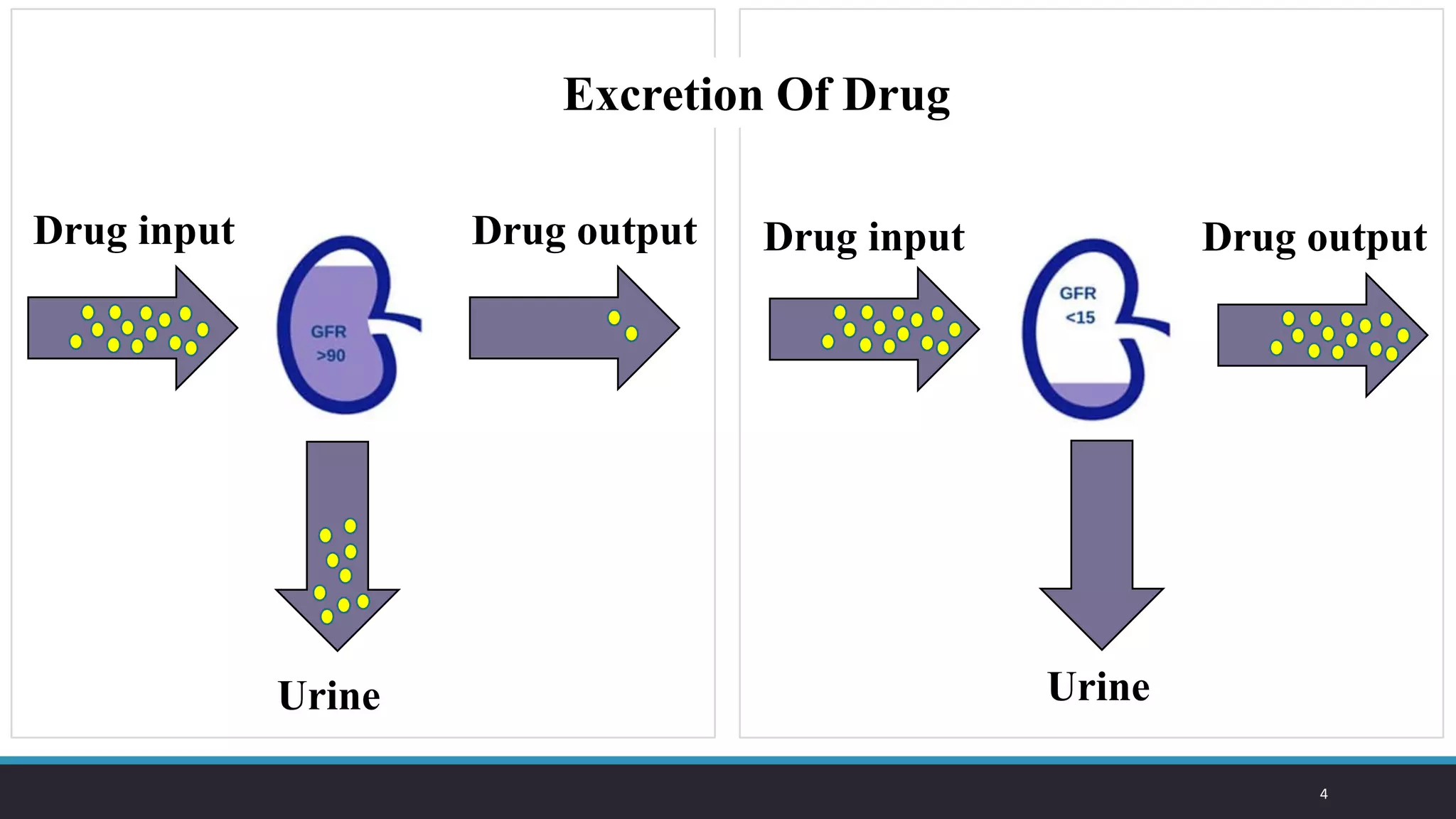 Dose Adjustment in Acute Renal Failure and Chronic Kidney Disease. | PDF