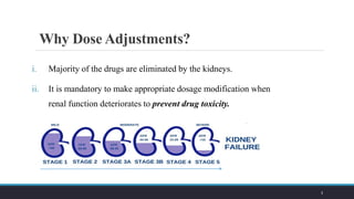 Dose Adjustment in Acute Renal Failure and Chronic Kidney Disease. | PDF