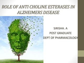 ROLE OF ANTI CHOLINE ESTERASES IN
ALZHEIMERS DISEASE
SIRISHA. A
POST GRADUATE
DEPT OF PHARMACOLOGY
 