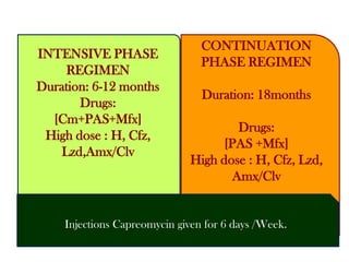 Drug therapy for TB | PDF