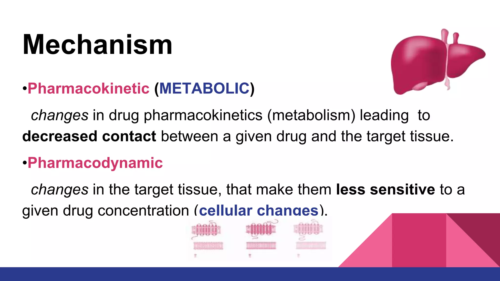 Which Of The Following Represents Drug Tolerance Drug tolerance | PPT
