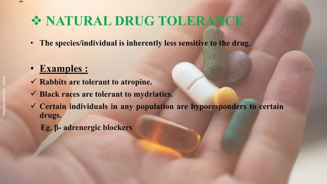 drug-tolerance-intolerance-ppt