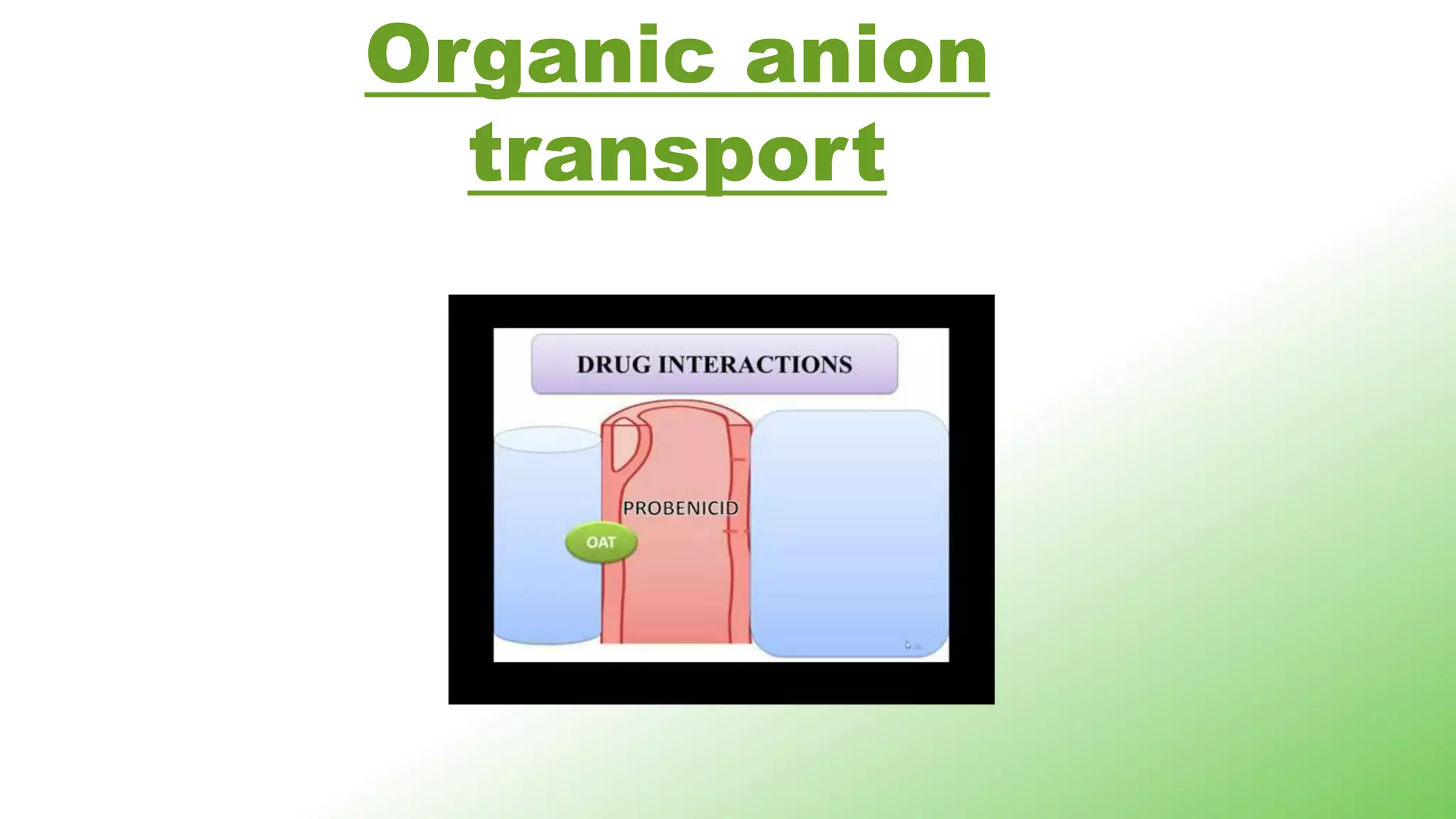 Organic anion
transport
 