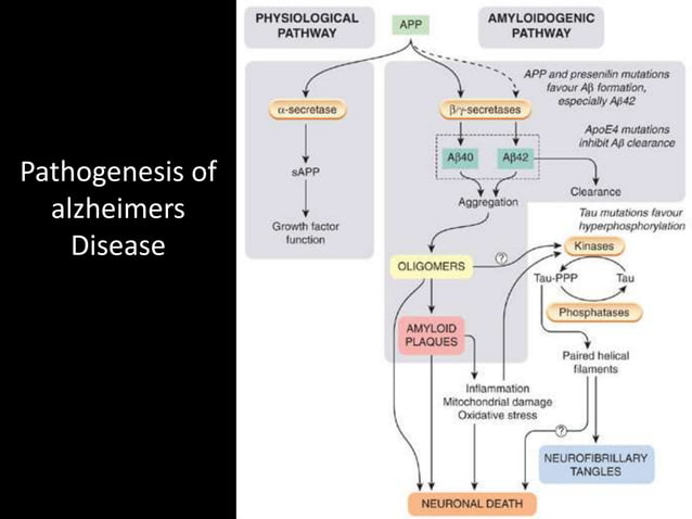 Drug treatment of alzheimers disease | PPTX