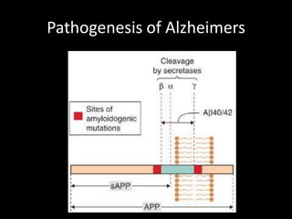 Drug treatment of alzheimers disease | PPTX