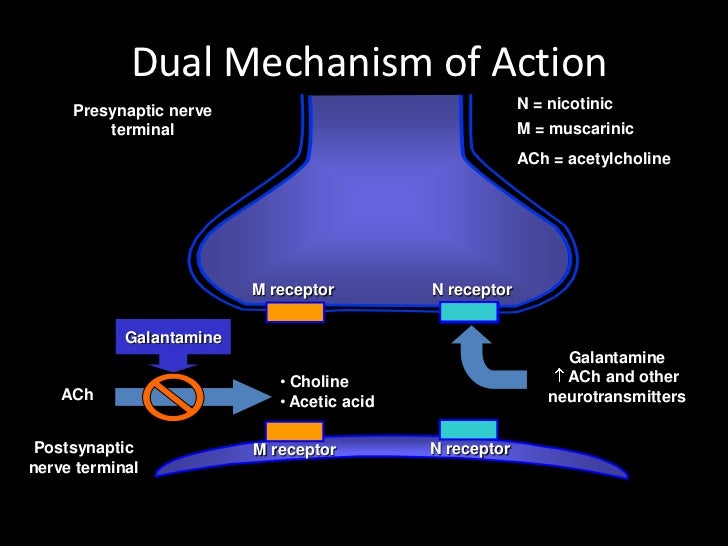 Alzheimer S Natural Treatment Alzheimer S Natural Treatment
