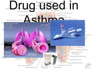 Drug used in Asthma 