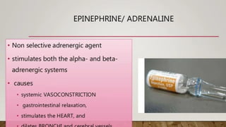 drug used in shock.pdf