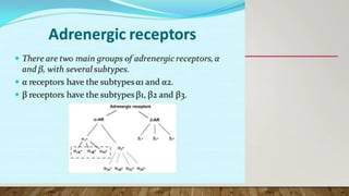 drug used in shock.pdf