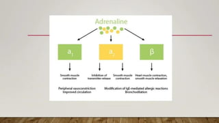 drug used in shock.pdf