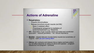 drug used in shock.pdf