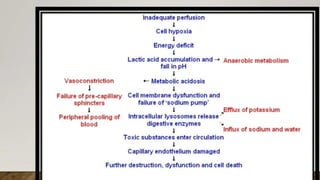 drug used in shock.pdf